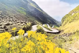 Vietnam acelera la transformación verde de su industria turística