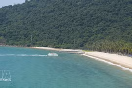 Cu Lao Cham: una joya verde en el Mar del Este. (Foto: VNA)