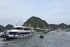 Barcos en el muelle turístico de Cai Beo esperan recoger a turistas que visitan la bahía de Lan Ha. (Foto: VNA)