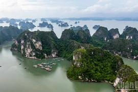 Vista de la bahía de Ha Long. (Foto: Nhan Dan)