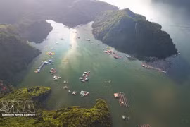 Con su majestuoso paisaje, el embalse hidroeléctrico de Hoa Binh se ha convertido en un destino imperdible para los turistas en la provincia de Phu Tho. (Foto: VNA)