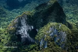 Phong Nha-Ke Bang, un tesoro biológico en la cordillera de Truong Son. (Foto: VNA)