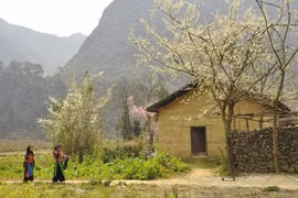 Una casa tradicional hmong en la provincia de Ha Giang. (Foto: Nhan Dan)