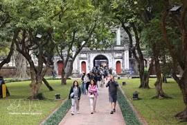 Numerosos turistas de Hanói y del extranjero visitan el Templo de la Literatura. (Foto: VNA)