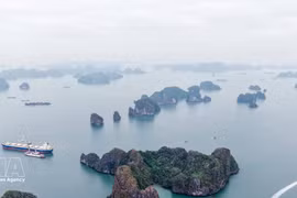 Vista panorámica de la bahía de Ha Long. (Foto: VNA)