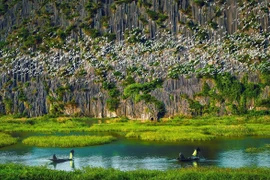 La zona ecoturística de la laguna Van Long, en la provincia de Ninh Binh, es famosa por su belleza prístina y tranquila, y por su diverso ecosistema. 