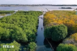 La ciudad centrovietnamita de Hue redobla sus esfuerzos para consolidarse como uno de los principales destinos de turismo sostenible de Vietnam (Fuente: VNA)