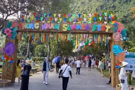 La zona de ecoturismo de Thung Nham atrae a un gran número de visitantes. 