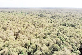 [Video] Protegen la biodiversidad en la Reserva Natural de Lung Ngoc Hoang