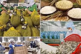 [Vídeo] Exportaciones vietnamitas de productos agroforestales y acuáticos consolidan su tendencia alcista