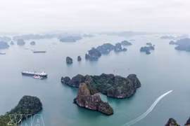 La bahía de Ha Long. (Foto: VNA)