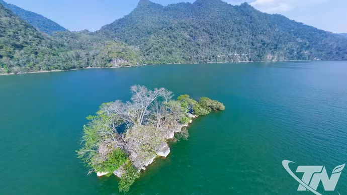 El lago Ba Be (Foto: baothainguyen.vn)