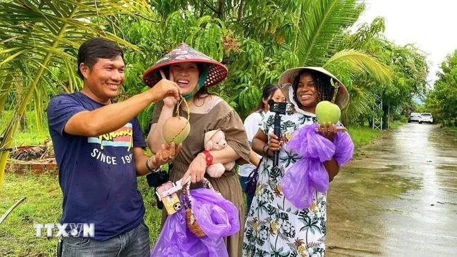 Turistas disfrutan de la experiencia de recoger mangos en los huertos de la comuna de Cam Lam, en Khanh Hoa. (Foto: VNA)