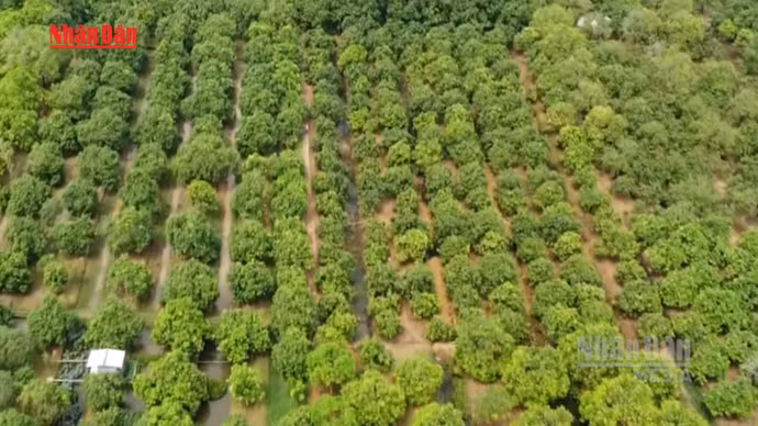 [Vídeo] Vietnam impulsa el turismo verde y circular