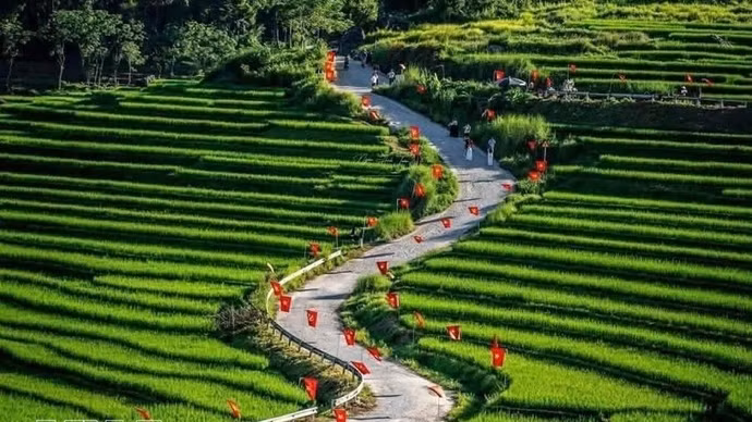 El sitio de ecoturismo comunitario de Pu Luong, en la provincia de Thanh Hoa, atrae a visitantes. (Foto: VNA)