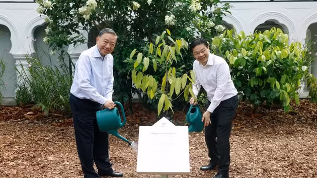 [Foto] Dirigentes de Vietnam y Singapur participan en acto de plantación de árboles en el Jardín Botánico de Singapur