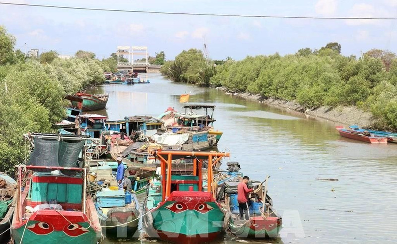 El Comité Popular de la provincia de Dong Thap está implementando el "Proyecto para transformar algunos oficios relativos a la explotación acuática que afectan los recursos marinos y el entorno ecológico" (Foto: VNA)