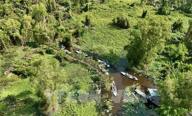 La base de datos forestales se completará a finales de este año, adaptándose al Reglamento de Deforestación de la UE (Foto: VNA)