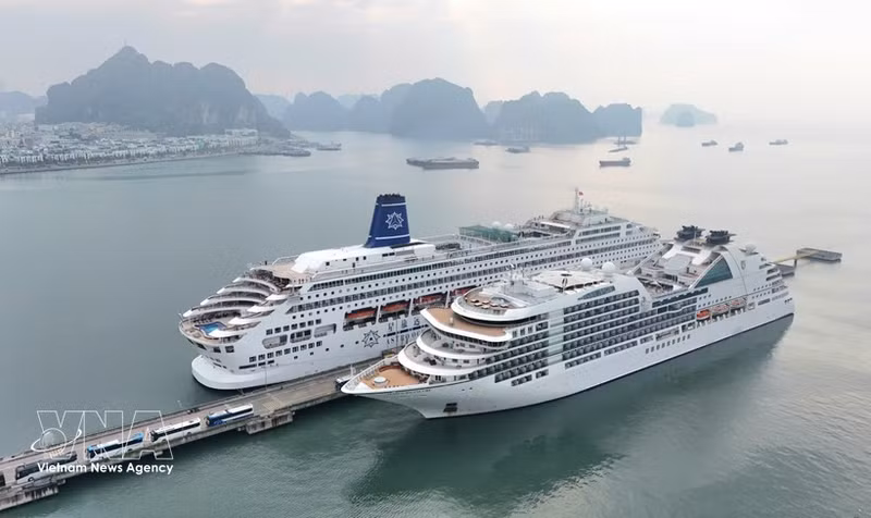 Los cruceros de lujo Seabourn Encore y Piano Land llegan a la provincia de Quang Ninh en el primer día del Año Nuevo Lunar. (Foto: VNA)