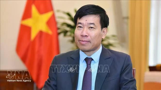 El viceministro de Relaciones Exteriores Nguyen Manh Cuong (Foto: VNA)