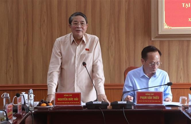 El vicepresidente de la Asamblea Nacional de Vietnam, Nguyen Duc Hai. (Foto: VNA)