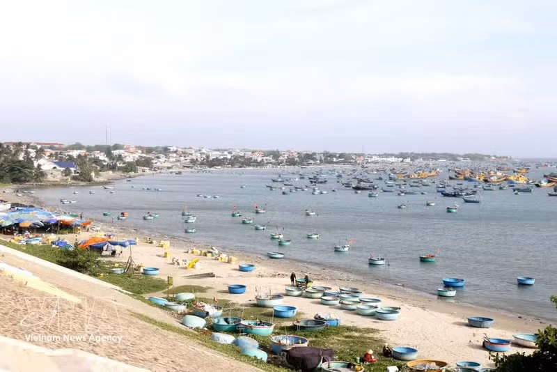 Mui Ne se afianza como destino líder de kitesurf en Asia (Foto: VNA)
