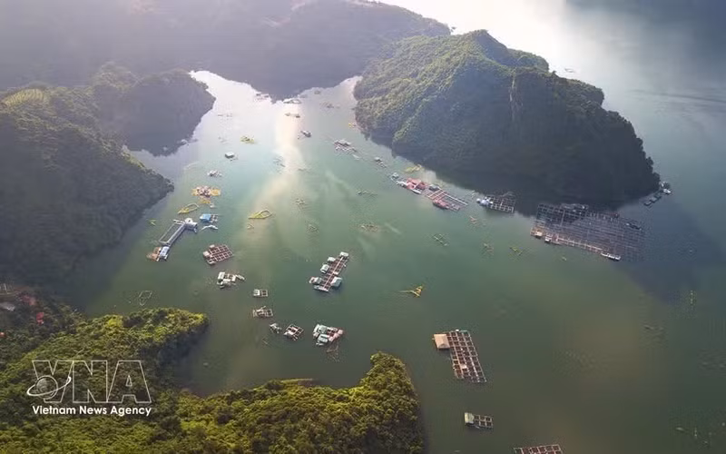 Con su majestuoso paisaje, el embalse hidroeléctrico de Hoa Binh se ha convertido en un destino imperdible para los turistas en la provincia de Phu Tho. (Foto: VNA)