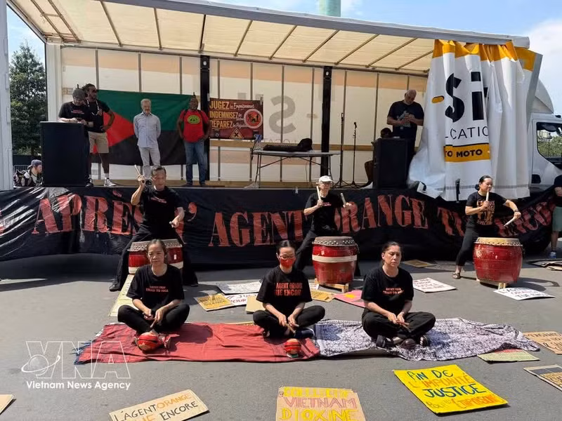 Una actuación de los miembros de la organización Collectif Vietnam Dioxine (Foto: VNA)