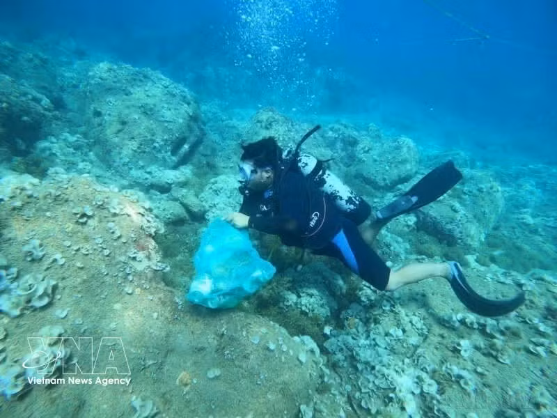 Recolección de residuos plásticos en el lecho marino en el barrio Quy Nhon Dong, provincia de Gia Lai (Foto: VNA)