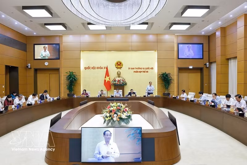 Panorama de la reunión (Foto: VNA)