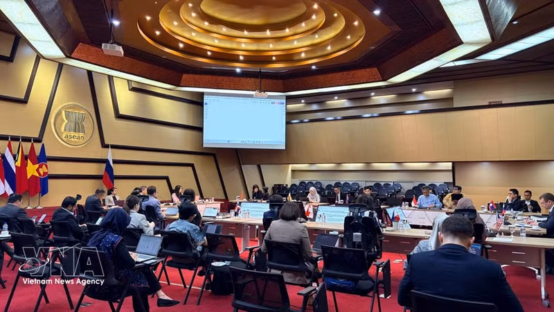 La 24ª reunión del Comité Conjunto de Cooperación Asean–Rusia. (Foto: VNA)