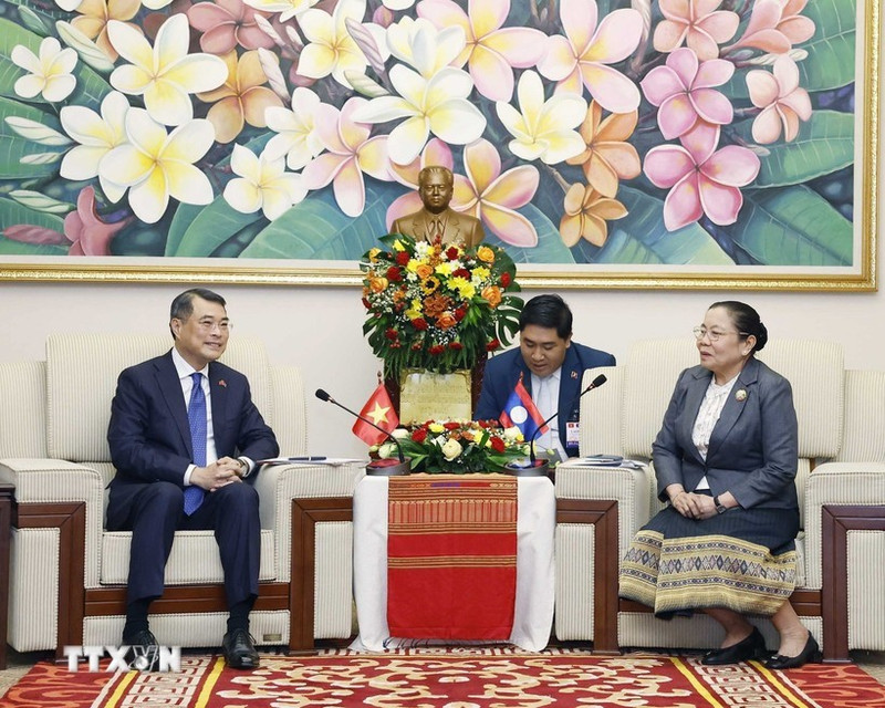 El jefe de la Comisión de Organización del Comité Central del Partido Comunista de Vietnam, Le Minh Hung, en una reunión con su homólogo laosiano, Sisay Leudetmounsone. (Foto: VNA)