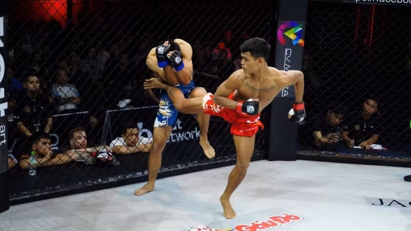 El LC29 atraerá a famosos luchadores vietnamitas y chinos.