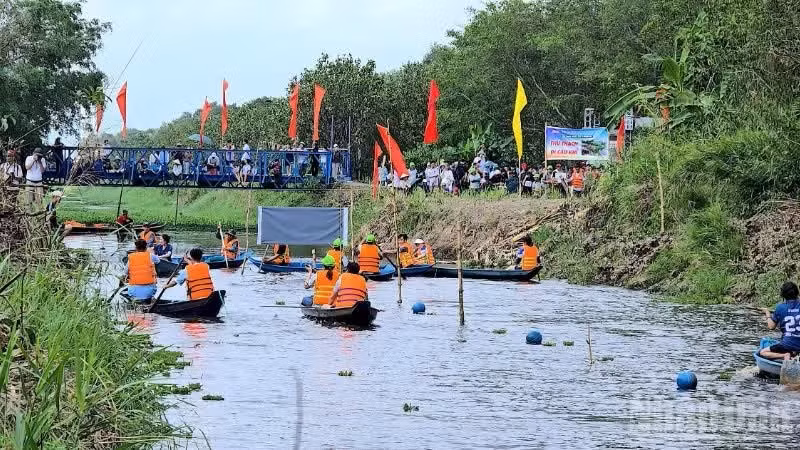 Atletas compiten en la prueba de remo de velocidad de 100 metros en el evento “Aroma del Bosque de U Minh 2026”.