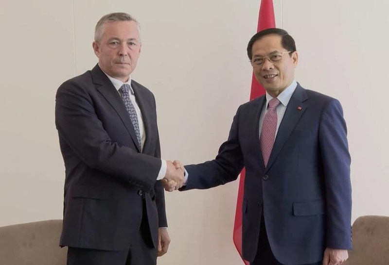 El viceprimer ministro y canciller de Vietnam, Bui Thanh Son (derecha) y el enviado especial del presidente de Chile, Heraldo Muñoz (Foto: VNA)