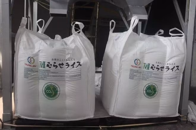 Este año se venderán alrededor de 400 mil toneladas de arroz con certificación de bajas emisiones en mercados internacionales, siendo Japón el principal destino. (Foto: VNA)