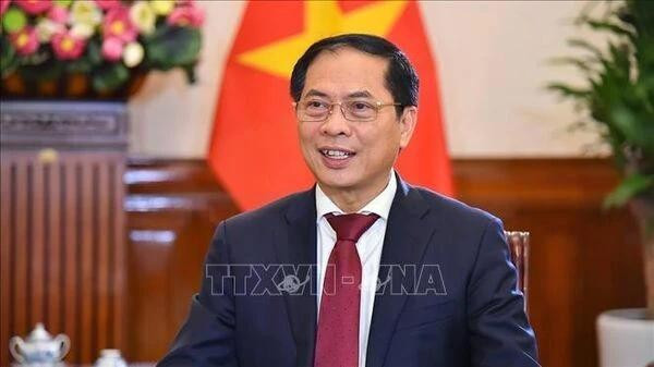 El viceprimer ministro y canciller Bui Thanh Son (Foto: VNA)