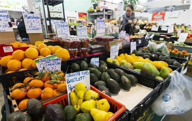 Las personas compran productos en un mercado de Ontario, Canadá. (Foto: Xinhua/VNA)