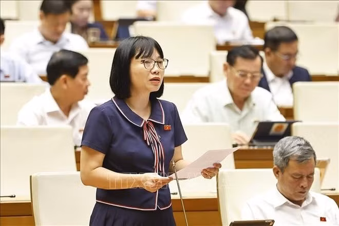 La legisladora Nguyen Thi Viet Nga de la provincia norteña de Hai Duong (Foto: VNA)