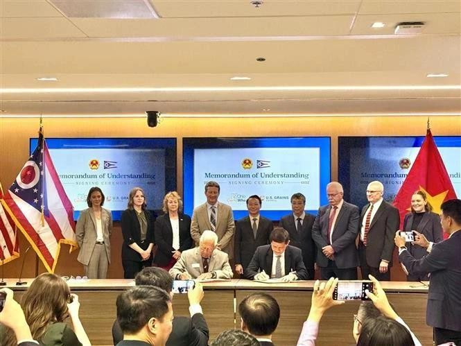 Empresas de ambas partes firmaron un memorando de entendimiento. (Foto: VNA)