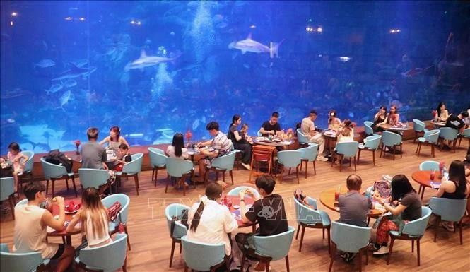 Los turistas experimentan el Palacio del Océano en el norte de la isla de Phu Quoc (Kien Giang). (Foto: VNA)