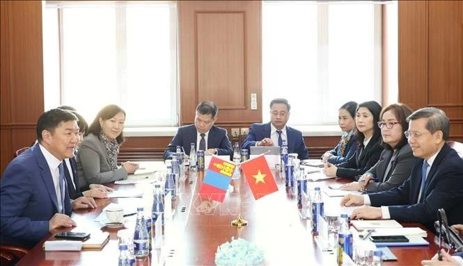 La delegación de alto nivel del Tribunal Supremo Popular de Vietnam sostiene conversaciones con la delegación del Tribunal Supremo de Mongolia. (Foto: VNA)