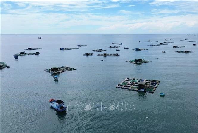 Modelo de cultivo de mariscos en jaulas en Ninh Thuan. (Foto: VNA)