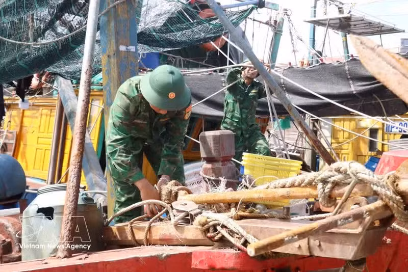 Guardias fronterizos ayudan a los pescadores a evitar el tifón Mayak. (Foto: VNA)