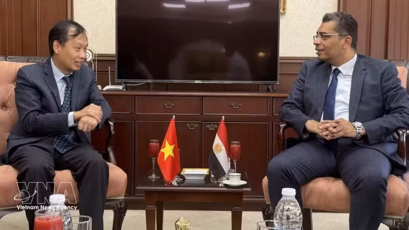 El embajador de Vietnam en Egipto, Nguyen Nam Duong y el gobernador de la provincia egipcia del Mar Rojo, Walid Al Barqi (Foto: VNA)