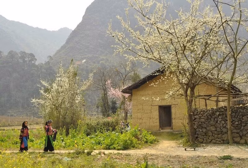 Una casa tradicional hmong en la provincia de Ha Giang. (Foto: Nhan Dan)