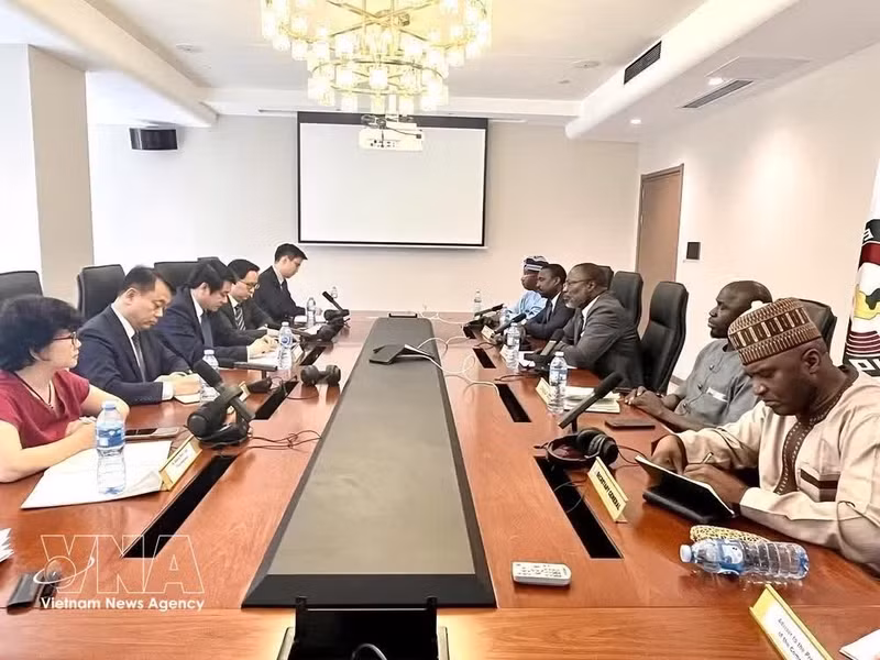 El viceministro de Relaciones Exteriores, Le Anh Tuan, trabaja con el presidente de la Comisión de la CEDEAO, Omar Alieu Touray. (Foto: VNA)
