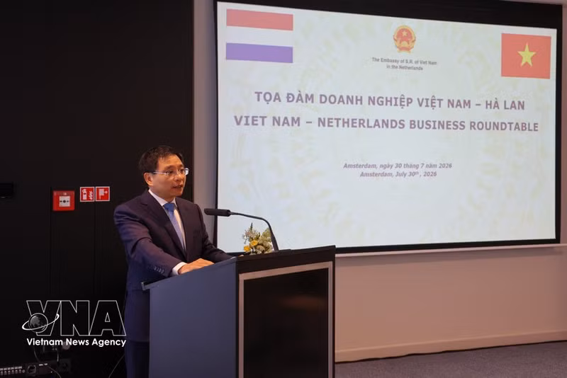 Según el viceprimer ministro Nguyen Van Thang, la relación entre Vietnam y los Países Bajos se está desarrollando de manera muy positiva y sustancial, especialmente en los ámbitos económico, comercial y de inversión. (Foto: VNA)