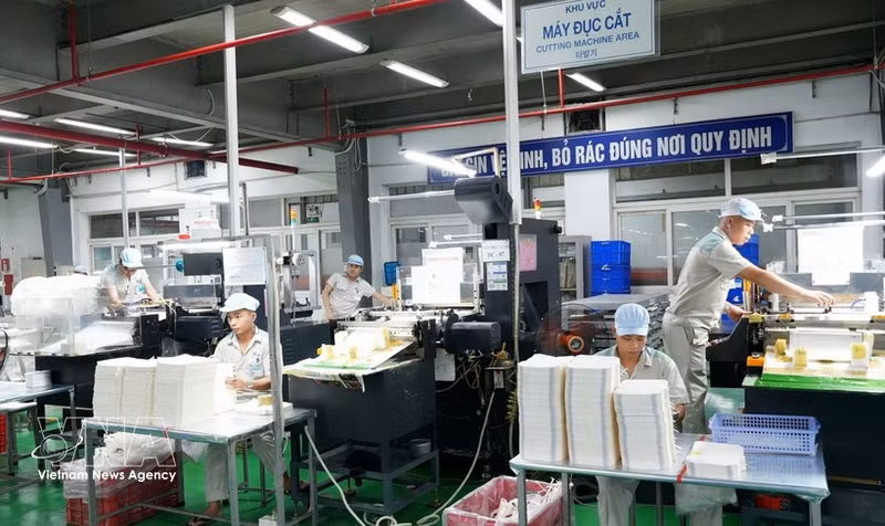 Línea de producción de envases en la empresa de Thang Long, que cumple con los requisitos de numerosos clientes nacionales e internacionales. (Foto: VNA)