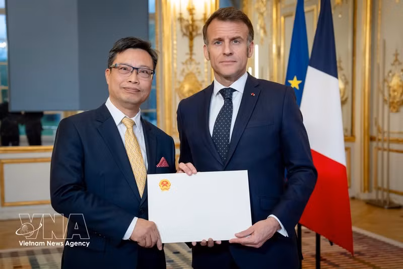 El embajador Trinh Duc Hai presenta sus credenciales al Presidente francés Emmanuel Macron (25 de marzo de 2026. (Foto: VNA)